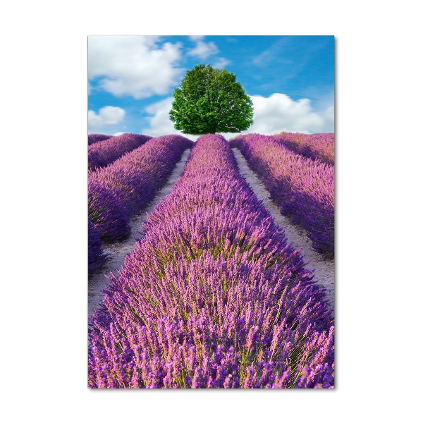 Cuadro de vidrio templado 4mm para pared vertical campo de lavanda