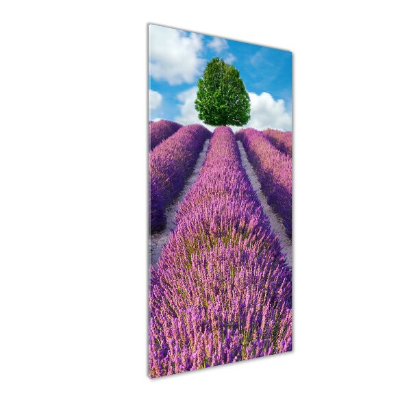 Cuadro de vidrio templado 4mm para pared vertical campo de lavanda
