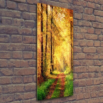 Fotocuadro de cristal elegante para hogar vertical Bosque en otoño