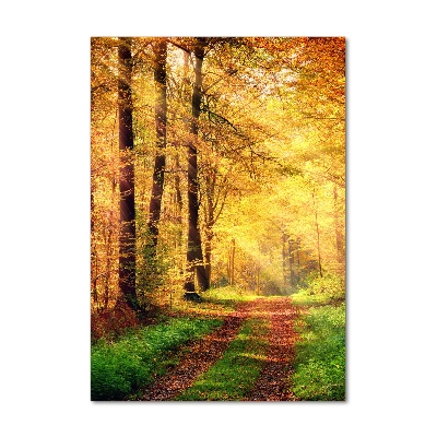 Fotocuadro de cristal elegante para hogar vertical Bosque en otoño