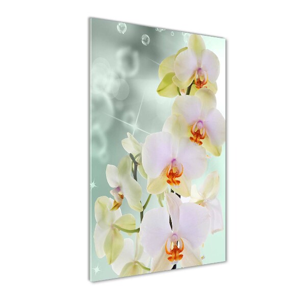 Cuadro de cristal moderno efecto brillo vertical Orquídea