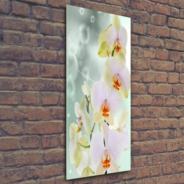 Cuadro de cristal moderno efecto brillo vertical Orquídea