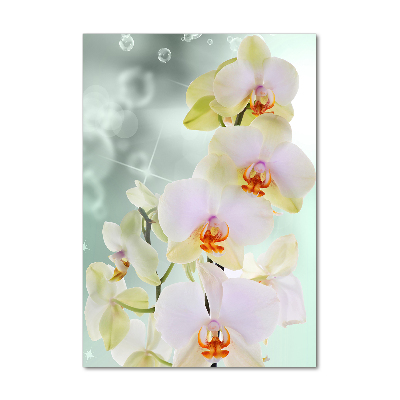 Cuadro de cristal moderno efecto brillo vertical Orquídea