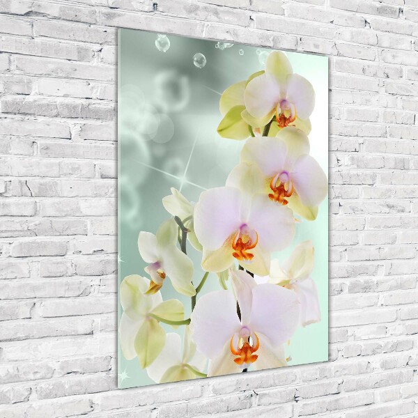 Cuadro de cristal moderno efecto brillo vertical Orquídea
