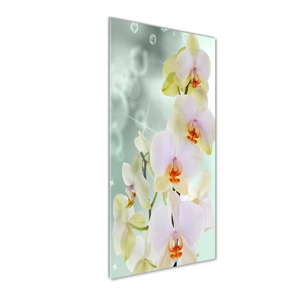 Cuadro de cristal moderno efecto brillo vertical Orquídea