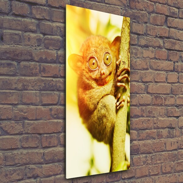 Cuadro de vidrio templado 4mm para pared vertical Tarsero fantasma