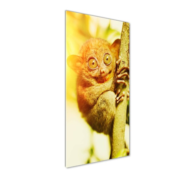 Cuadro de vidrio templado 4mm para pared vertical Tarsero fantasma