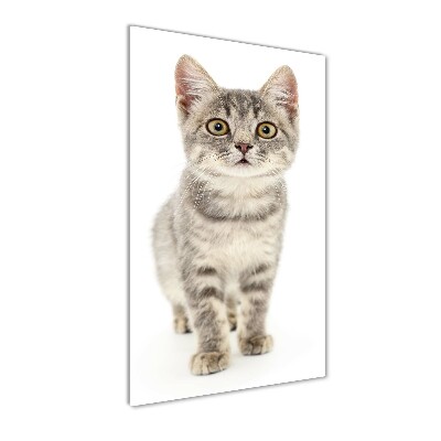 Fotocuadro de cristal elegante para hogar vertical gato gris