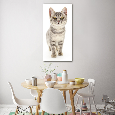 Fotocuadro de cristal elegante para hogar vertical gato gris