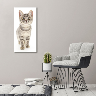 Fotocuadro de cristal elegante para hogar vertical gato gris