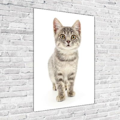 Fotocuadro de cristal elegante para hogar vertical gato gris