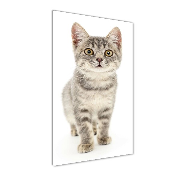 Fotocuadro de cristal elegante para hogar vertical gato gris