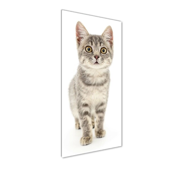 Fotocuadro de cristal elegante para hogar vertical gato gris