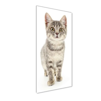 Fotocuadro de cristal elegante para hogar vertical gato gris
