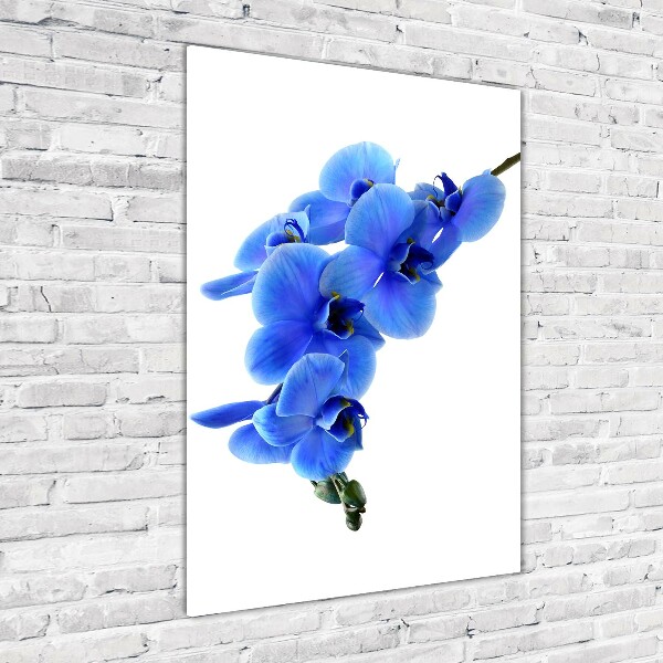 Cuadro decorativo en cristal con canto pulido vertical Orquídea azul