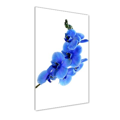 Cuadro decorativo en cristal con canto pulido vertical Orquídea azul