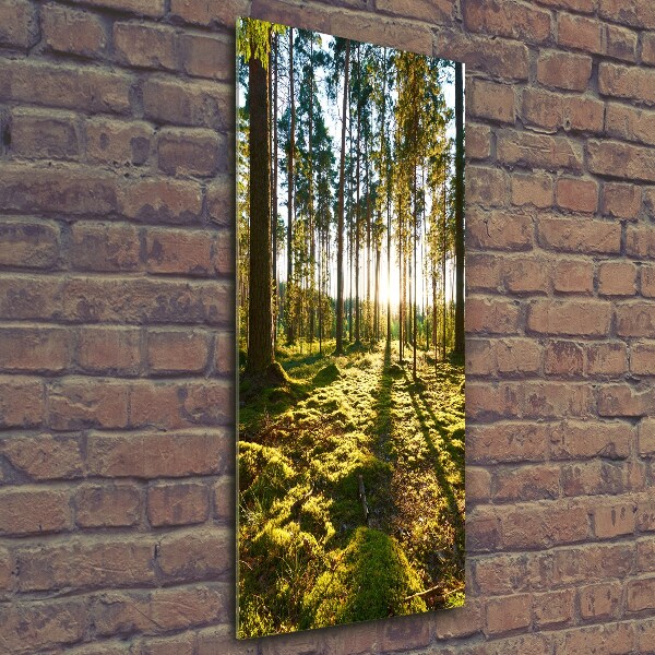 Fotocuadro de cristal elegante para hogar vertical bosque de pinos
