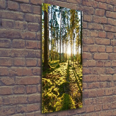 Fotocuadro de cristal elegante para hogar vertical bosque de pinos