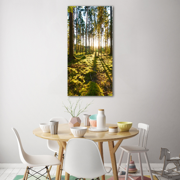 Fotocuadro de cristal elegante para hogar vertical bosque de pinos