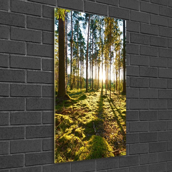 Fotocuadro de cristal elegante para hogar vertical bosque de pinos