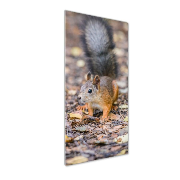 Fotocuadro de cristal elegante para hogar vertical Ardilla en el bosque