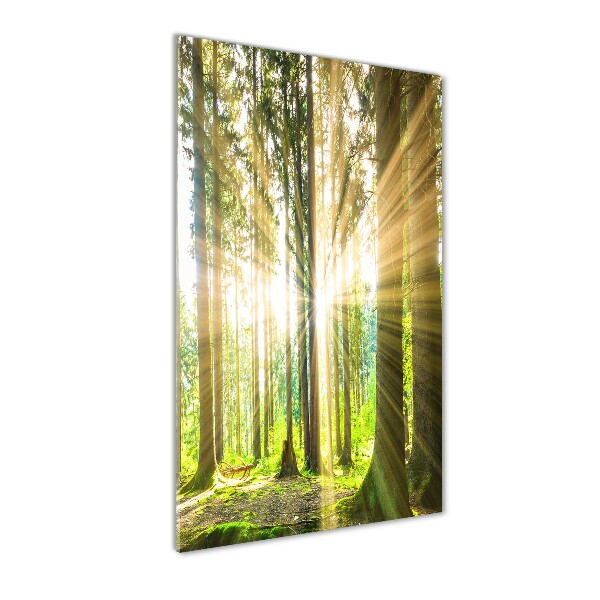 Fotocuadro de cristal elegante para hogar vertical El sol en el bosque