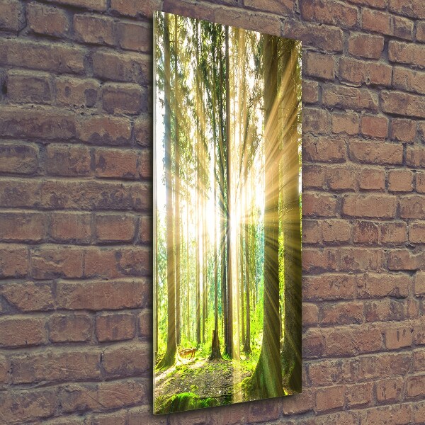 Fotocuadro de cristal elegante para hogar vertical El sol en el bosque