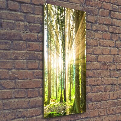 Fotocuadro de cristal elegante para hogar vertical El sol en el bosque