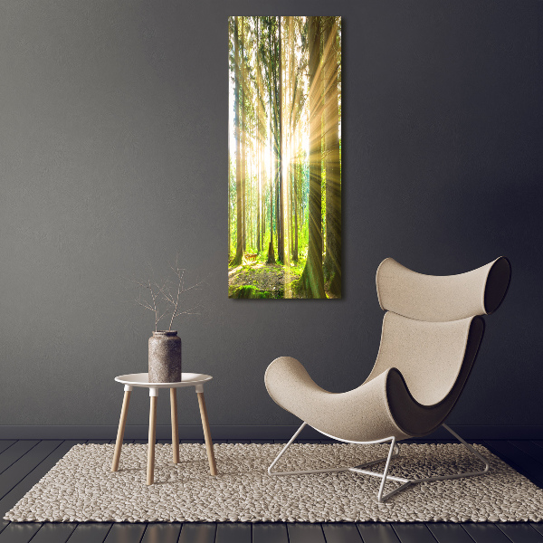 Fotocuadro de cristal elegante para hogar vertical El sol en el bosque