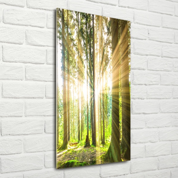 Fotocuadro de cristal elegante para hogar vertical El sol en el bosque