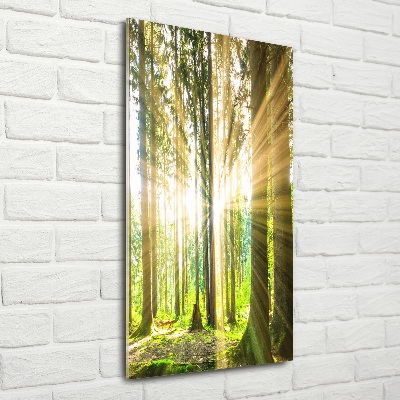 Fotocuadro de cristal elegante para hogar vertical El sol en el bosque