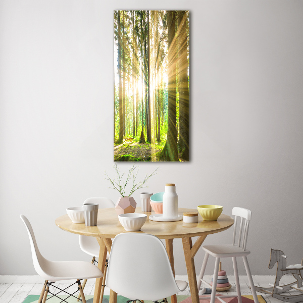 Fotocuadro de cristal elegante para hogar vertical El sol en el bosque