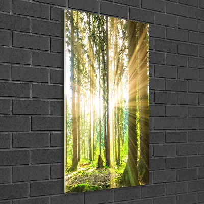 Fotocuadro de cristal elegante para hogar vertical El sol en el bosque