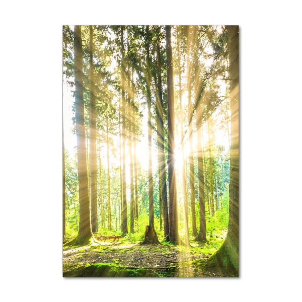 Fotocuadro de cristal elegante para hogar vertical El sol en el bosque