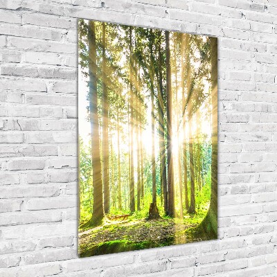Fotocuadro de cristal elegante para hogar vertical El sol en el bosque