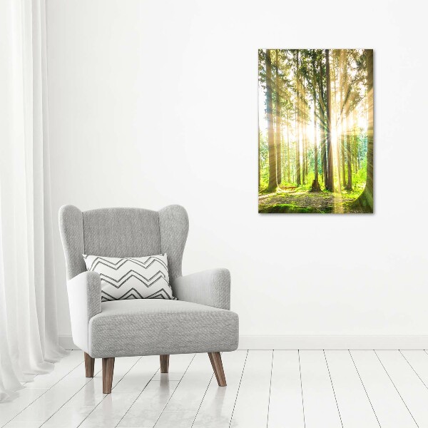 Fotocuadro de cristal elegante para hogar vertical El sol en el bosque