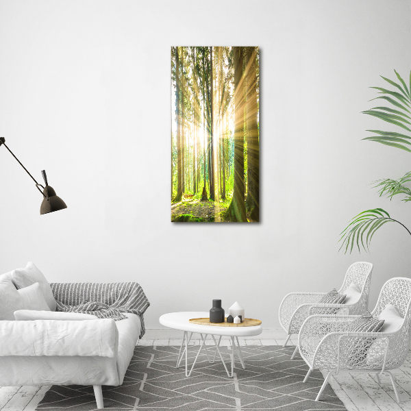Fotocuadro de cristal elegante para hogar vertical El sol en el bosque