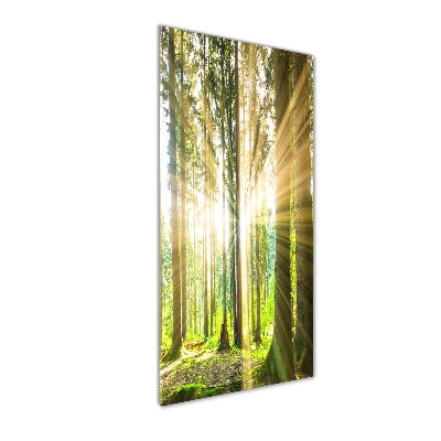 Fotocuadro de cristal elegante para hogar vertical El sol en el bosque