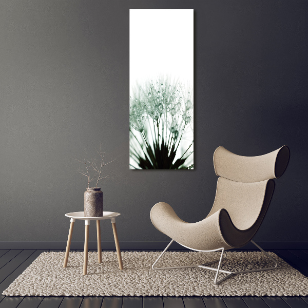 Cuadro de vidrio templado 4mm para pared vertical semillas de diente de león