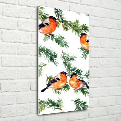 Foto obraz na szkle pionowy Rudzik i iglaki