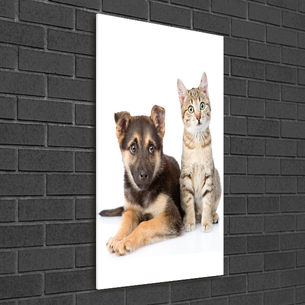 Cuadro decorativo en cristal con canto pulido vertical Perro y gato