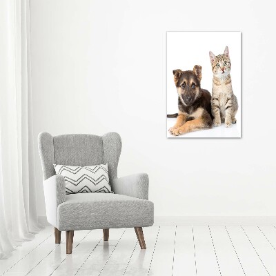 Cuadro decorativo en cristal con canto pulido vertical Perro y gato