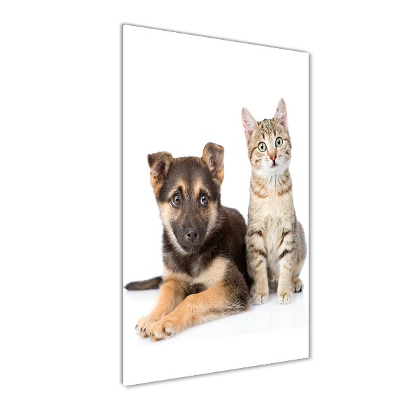 Cuadro decorativo en cristal con canto pulido vertical Perro y gato