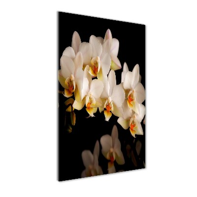 Cuadro de vidrio templado 4mm para pared vertical Orquídea