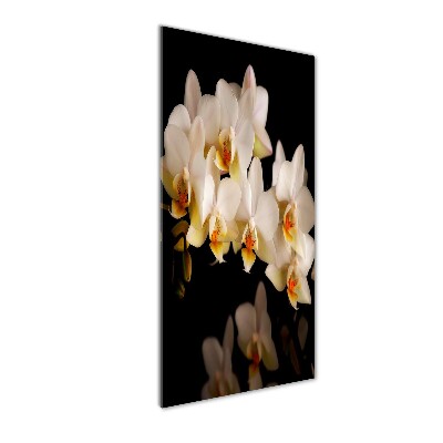 Cuadro de vidrio templado 4mm para pared vertical Orquídea