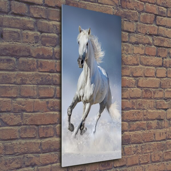 Fotocuadro de cristal elegante para hogar vertical Un caballo blanco galopando