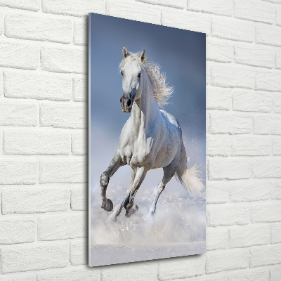 Fotocuadro de cristal elegante para hogar vertical Un caballo blanco galopando