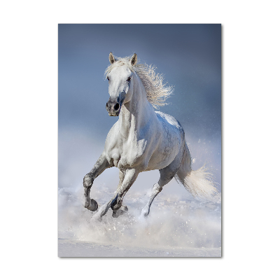 Fotocuadro de cristal elegante para hogar vertical Un caballo blanco galopando