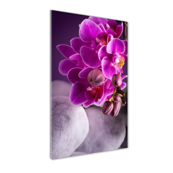 Fotocuadro de cristal elegante para hogar vertical Orquídea rosa