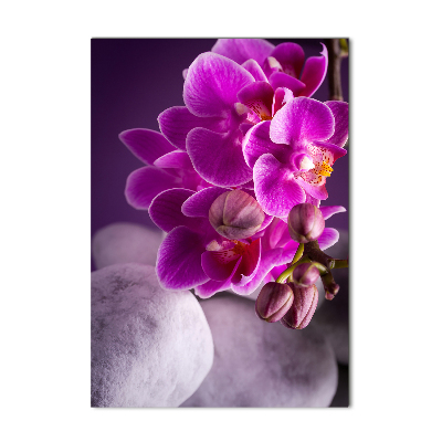 Fotocuadro de cristal elegante para hogar vertical Orquídea rosa